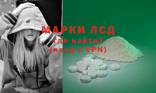 шишки Кукмор