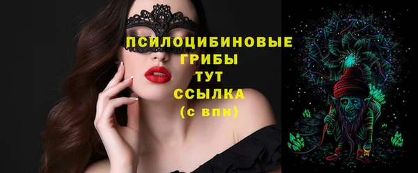 дживик Лагань