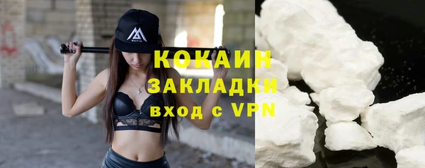 шишки Кукмор
