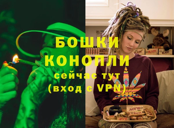 дживик Лагань