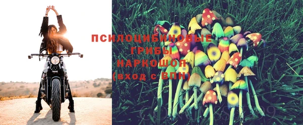 шишки Кукмор