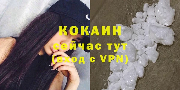 шишки Великий Новгород