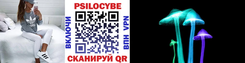 кракен рабочий сайт  Сальск  Галлюциногенные грибы мицелий  купить  