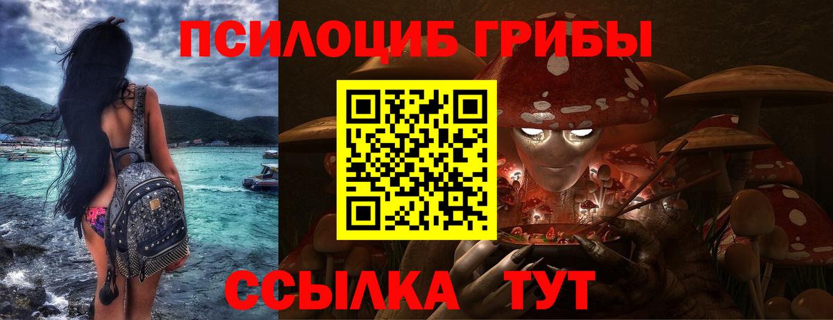 Сальск  Псилоцибиновые грибы Psilocybine cubensis  Псилоцибиновые грибы мухоморы  купить   Вход с VPN 
