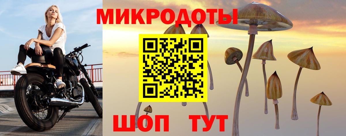 Псилоцибиновые грибы ЛСД Сальск