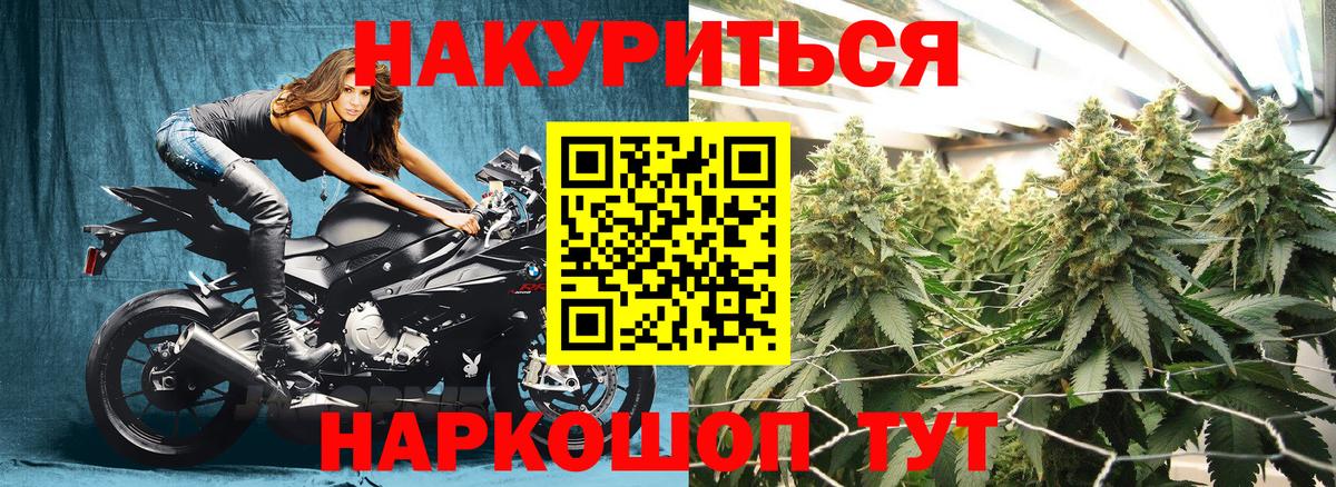 Бошки Шишки Bruce Banner Сальск